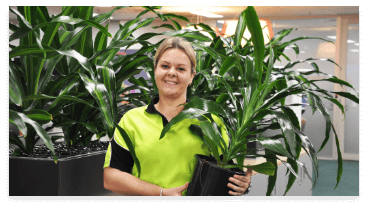 Ambius technician holding a plant in an office