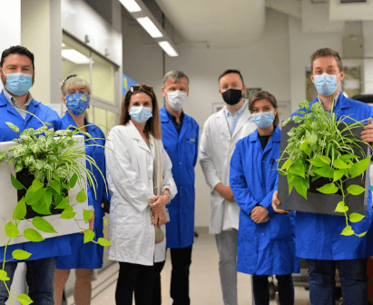 Colleagues in lab coats showcasing innovative plant displays