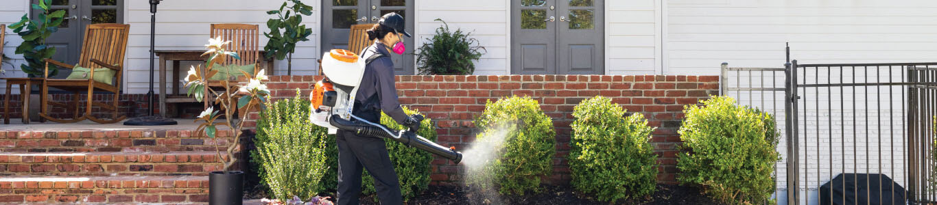 Pest technician treating shrubs with a power mister
