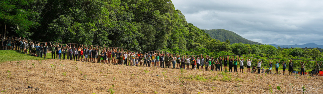 Human chain in the forest for a charity event