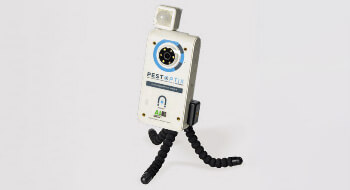 PestOptix camera on tripod