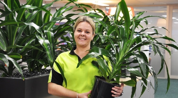 Ambius technician holding plants