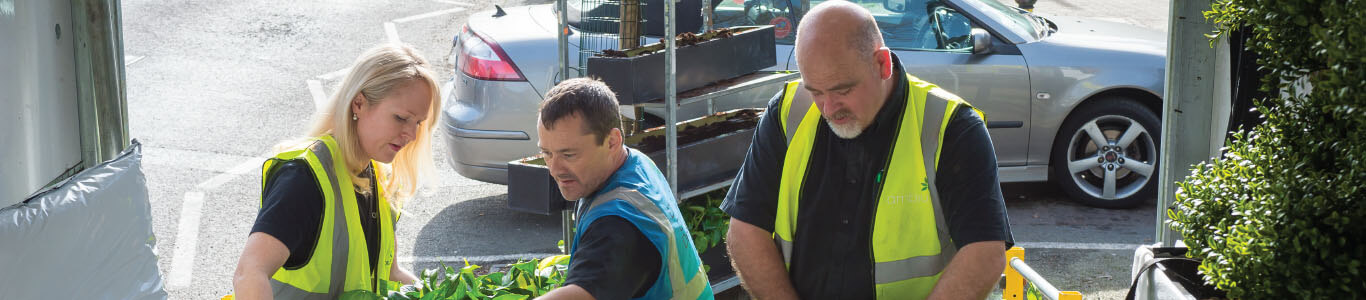 Ambius team delivering plants