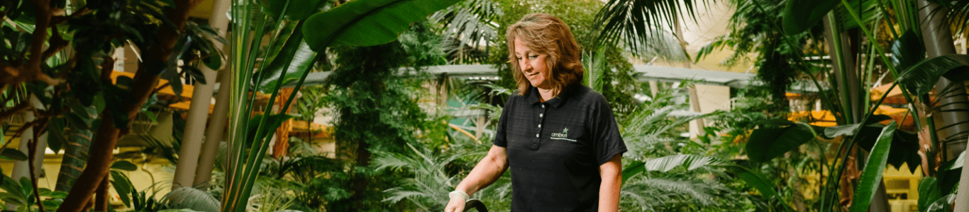 Ambius technician watering tropical plants