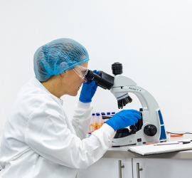 A scientist in a white lab coat, a hairnet, safety glasses, and blue gloves looks through a microscope in a laboratory.