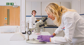 Dos científicas de Rentokil Initial en un laboratorio. En primer plano, una de ellas, con un microscopio