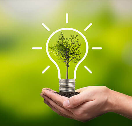 A hand holds a light bulb in which a tree grows, surrounded by rays of light, against a green background.