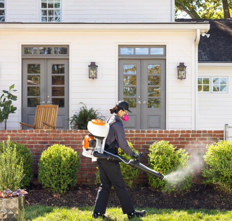 A pest control technician in a dark uniform, cap, and pink respirator mask treats the yard of a home. The technician is walking across the lawn while using a backpack sprayer to apply a mist to the green bushes along the front of the house.