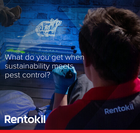 A Rentokil technician in a red shirt shines a UV lamp on a box. The silhouette of a rat is visible above the box.