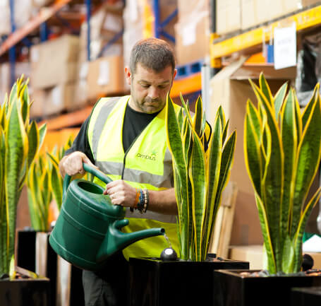 Ambius technician watering plants in a warehouse