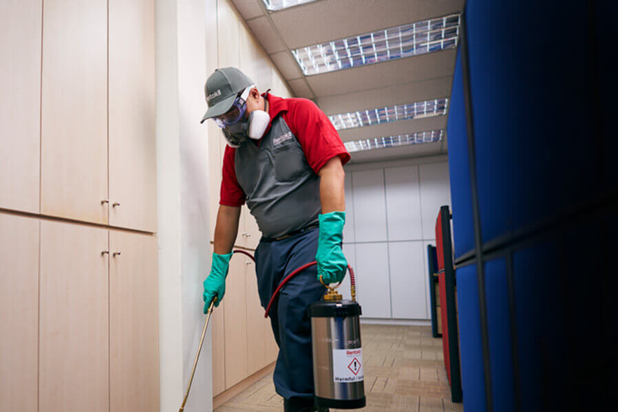 A pest controller wearing a protective mask, gloves, and a gray uniform carries a silver container and sprays a chemical solution in an office.