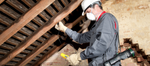 Rentokil Property Care Service Employee Fixing A Roof