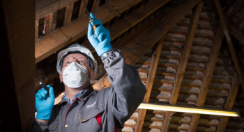 Rentokil Property Woodworm Control Services