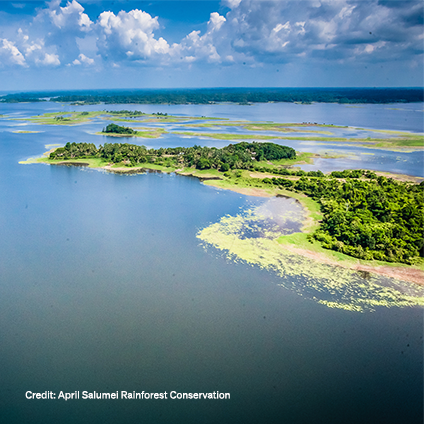 The April Salumei Rainforest Conservation