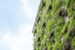 Sustainability