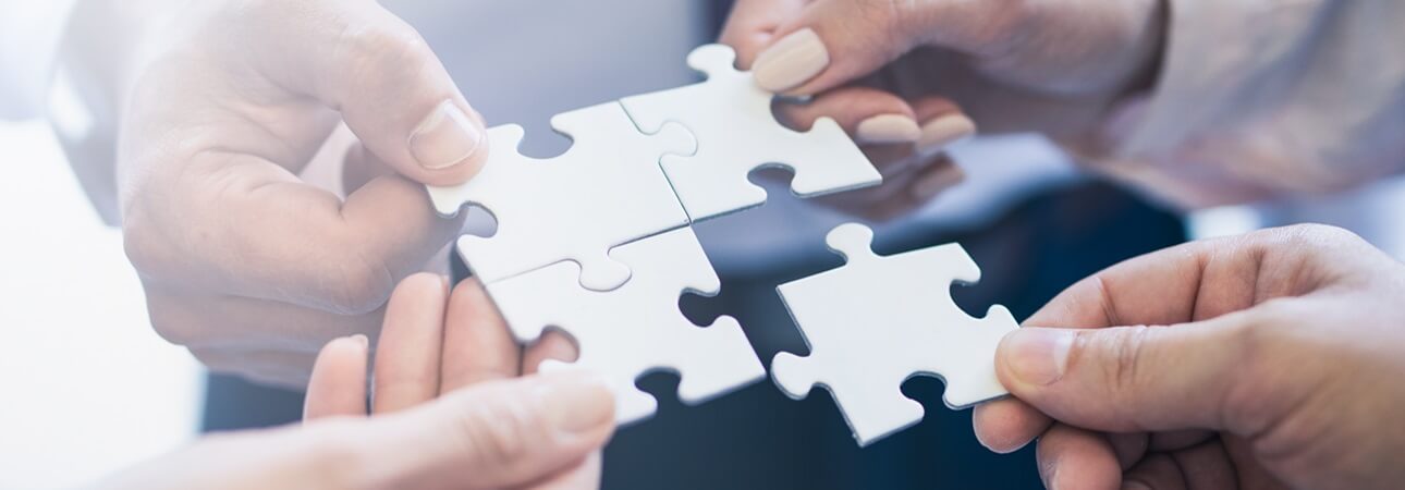 Purpose and Renesas Culture