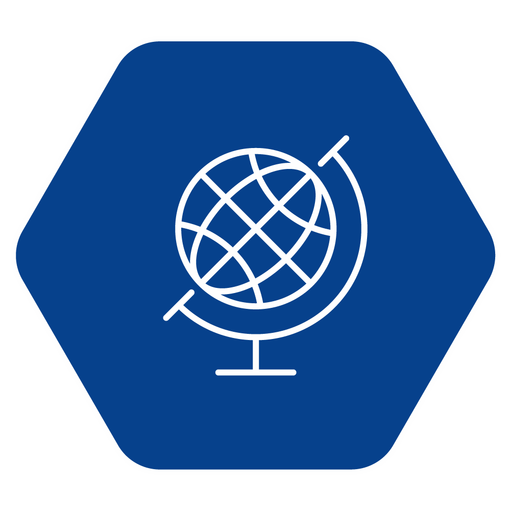 A globe icon 