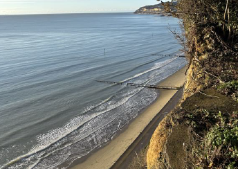 Home Visits Optometrist - Hastings