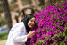 image of abir