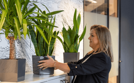 Lorem ipsum