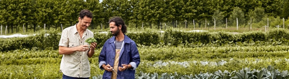 Management Development Program