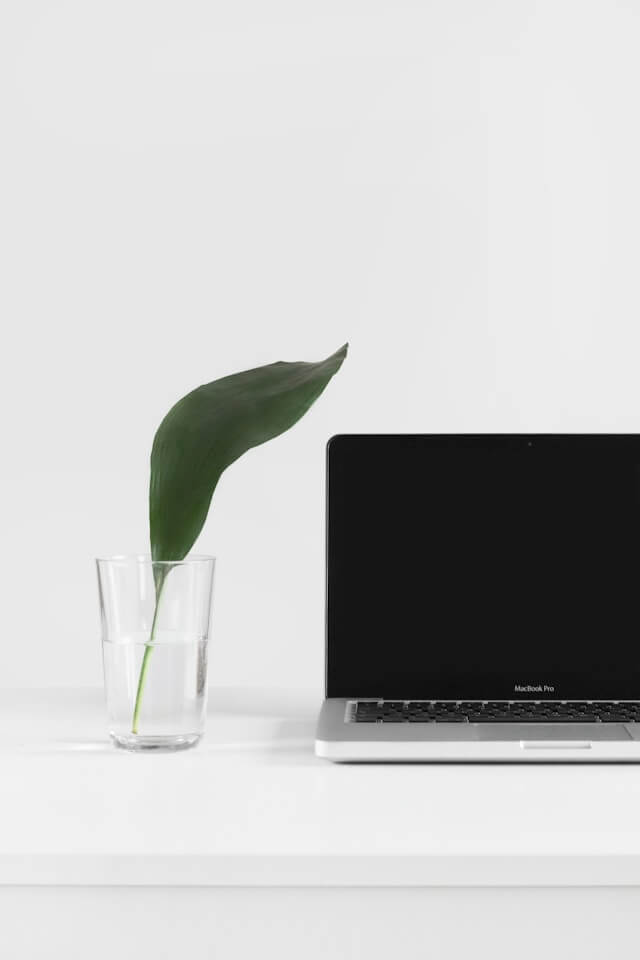 Laptop beside plant in vase