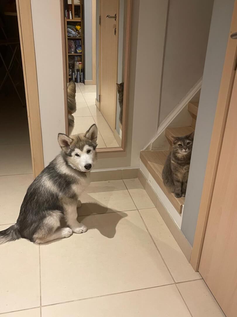 women sitting on a bed using a laptop