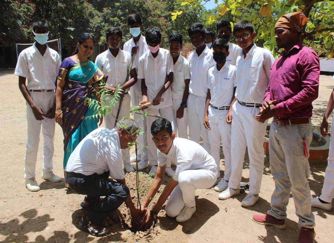 Tree Plantation Drive