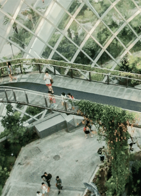 Office with tree and people walking on a bridge