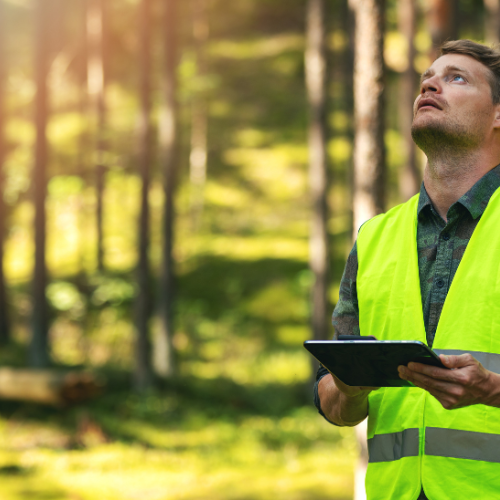Um trabalhador da construção civil com um colete de alta visibilidade segurando um tablet e parado em uma área de floresta, observando os arredores.