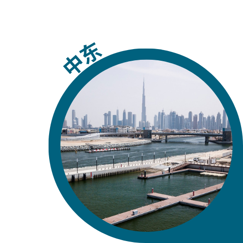 Picture of colleagues in an EGIS office in the Middle East 