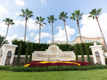 a customer ordering from someone on a desktop computer