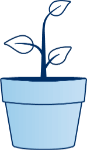 Illustration of a young plant growing in a pot, representing professional development, continuous learning and career progression throughout the graduate program.