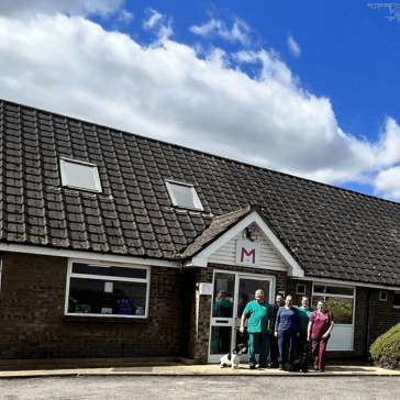 vet holding a small cat