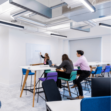 vet holding a small cat