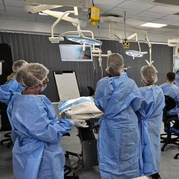 vet holding a small cat