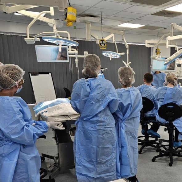 vet holding a small cat