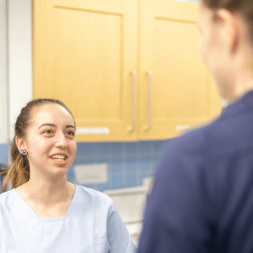 vet holding a small cat