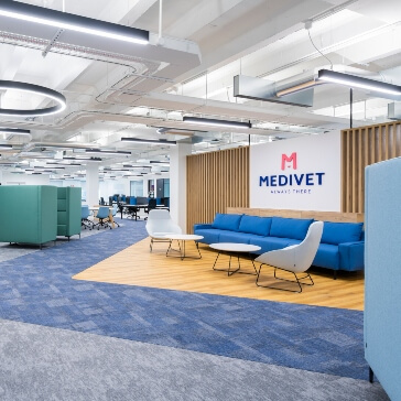 vet holding a small cat