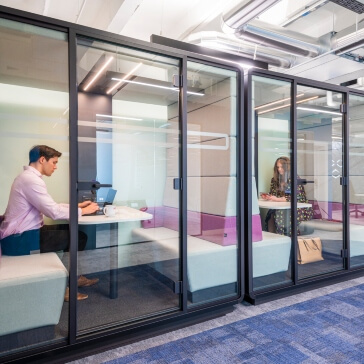 vet holding a small cat