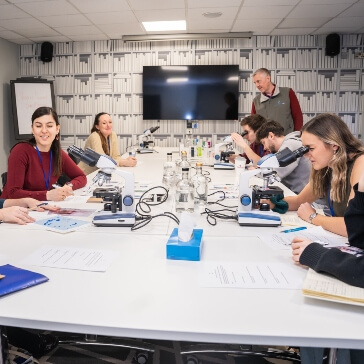 vet holding a small cat