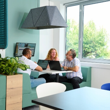 vet holding a small cat