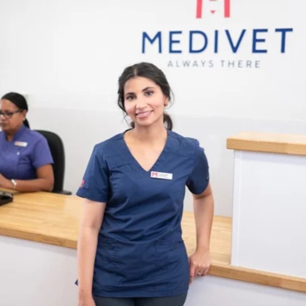 vet holding a small cat