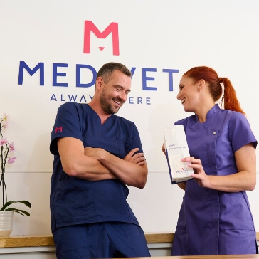 vet holding a small cat