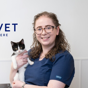 vet holding a small cat
