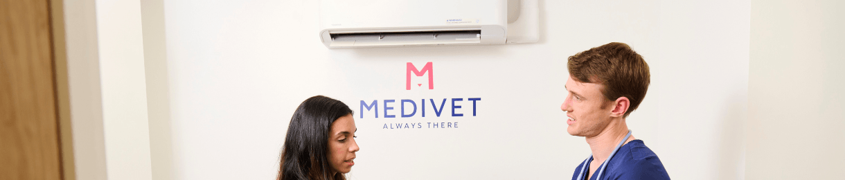 Medivet colleague chatting with client