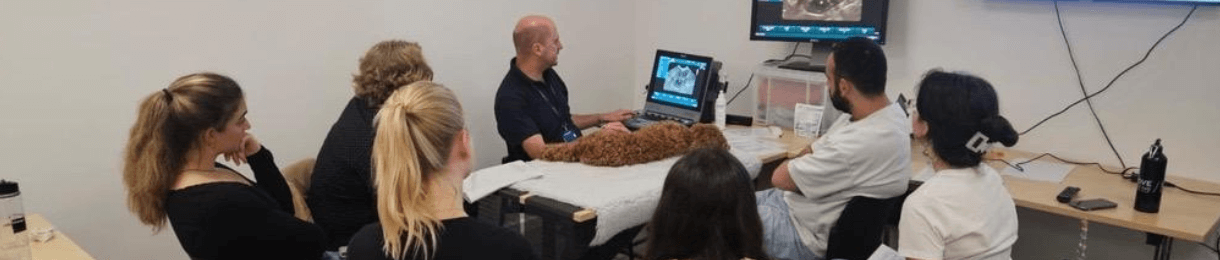 Image of Jan demonstrating an ultrasound on a dog.