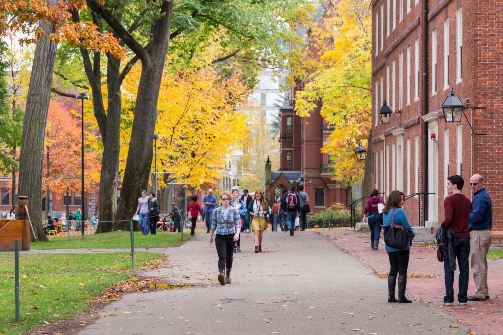 Campus image