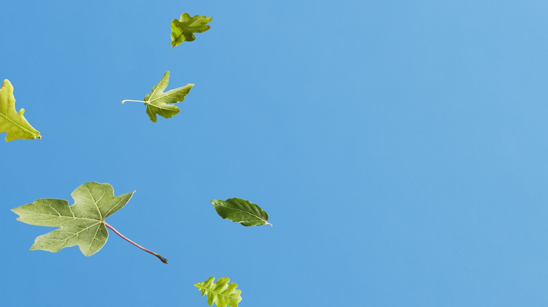 Stories and articles