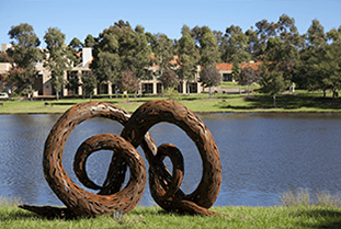 'Spiral Knot Vine' by Denese Oates - Campbelltown Campus 